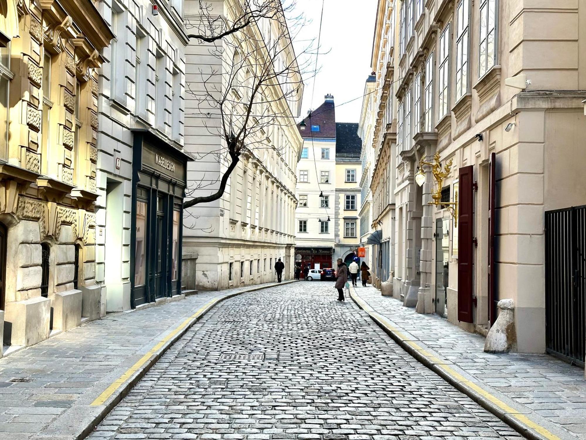 Central Stephansdom Apartment I Netflix I Self Check In Vienna Esterno foto